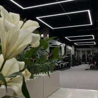 نیروی خدمات خانم