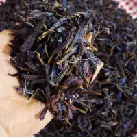 گل گاوزبان
