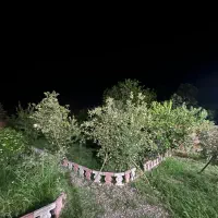 ویلا|فروش خانه و ویلا|رشت, لاکان|دیوار