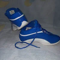 کتونی اورجینال ۴۱ در خزانه