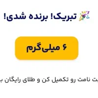 تو خونه لم بده و کسب درامد کن