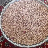 لوبیا چیتی تمیز