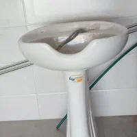 سرشور سالم