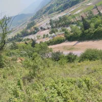 زمین-کشاورزی-در-جنگل-ساری-روستا-خارکش