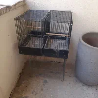 قفس پرنده