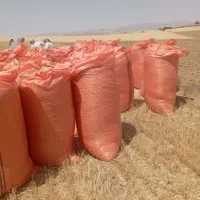 کاه گندم،لوبیا،نخود،عدس