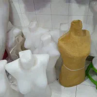 مانکن و رگال وقفسه پوشاکی بفروش میرسد|فروشگاه و مغازه|شیراز, شاه قلی بیگی|دیوار