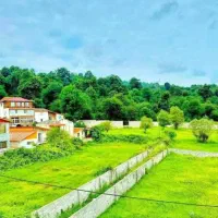 فروش زمین ۳۰۰ متری در جنگل نعمت آباد/فروش اقساطی