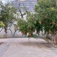 باغ-ویلا-جهاد-آباد-چاله-سیاه