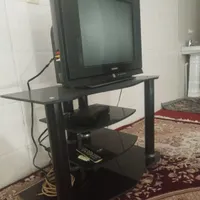 تلویزیون