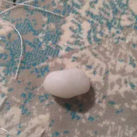 سنگ|کلکسیون اشیاء عتیقه|بجنورد, |دیوار