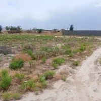 زمین