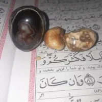 انگشتر و مهره های سلیمانی و عرج سلتانی زنده