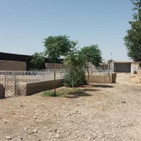 دامداری پرواری با سند ۶ دانگ  پروانه ۱۲۰ راسی|فروش دفتر صنعتی، کشاورزی، تجاری|ورامین, ورامین|دیوار