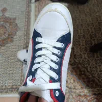 کفش کتانی سایر۴۳|کیف، کفش، کمربند|میانه, |دیوار