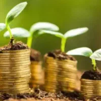 سرمایه گذار زمین|استخدام مالی، حسابداری، حقوقی|صدرا-فارس, فاز ۱|دیوار