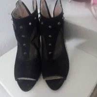 کفش|کیف، کفش، کمربند|مشهد, طبرسی شمالی|دیوار