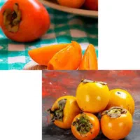 بلوبری کیوی نارنگی گیلاس انجیر انگور توت|خدمات باغبانی و درختکاری|تبریز, |دیوار