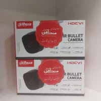 بالت ضداب با دید در شب داهوا