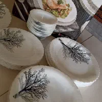 آرکوپال نونو|ظروف سرو و پذیرایی|اصفهان, هفتون|دیوار