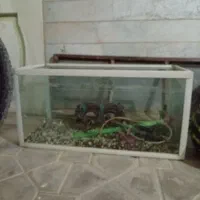 اکواریم