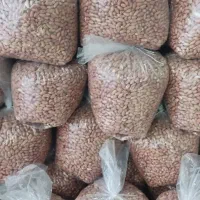 فروش بادام برشته درجه یک|عمدهفروشی|پارسآباد, |دیوار