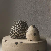 ساخت ظروف پاپیه ماشه