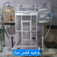 بشتابید فرصت محدودقفس و لوازمات پرندگان گربه خرگوش