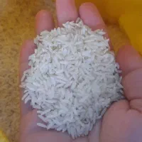 برنج طارم محلی