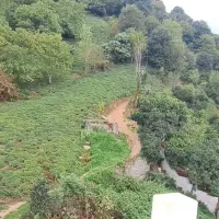 زمین-سه-نبش-پای-کوه