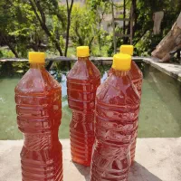 فروش عمده سرکه سیب طبیعی