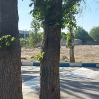 1هکتارزمین-مناسب-کاسبی-دوکله-شهریاربکه-بامجوزجهاد