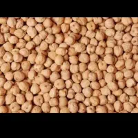 نخور ریز چگنی