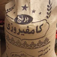 برنج کامفیروزی
