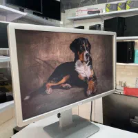 مانیتور U2312 LED IPS ضمانت یک‌ماهه|قطعات و لوازم جانبی رایانه|کرج, شاهین‌ویلا|دیوار