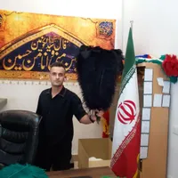 پر علامت کاوه|کلکسیون اشیاء عتیقه|کرج, ملک‌آباد|دیوار