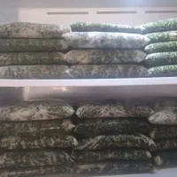 قورمه سبزی، آب نارنج|خوردنی و آشامیدنی|قائمشهر, |دیوار