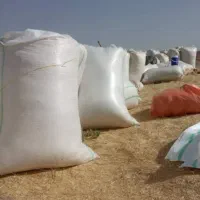 کاه یا سامان