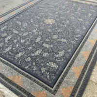 فرش سپنتا نگین|فرش|بشاگرد, |دیوار