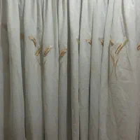 پرده د|پرده، رانر، رومیزی|رشت, شهرک قدس|دیوار