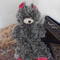 خرس تمیز وسالم