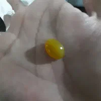 همه باهم ۲تومن کسی خواست درخدمتم|جواهرات|قوچان, |دیوار