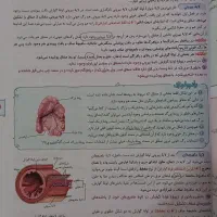 زیست شناسی خیلی سبز دهم|کتاب و مجله آموزشی|بهارستان, |دیوار