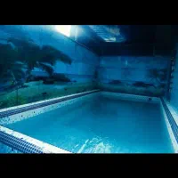 ویلا استخر دار سه خاب|اجارهٔ کوتاه‌مدت ویلا و باغ|آستارا, |دیوار