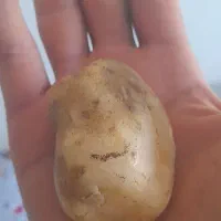 سنگ|جواهرات|زرقان, |دیوار