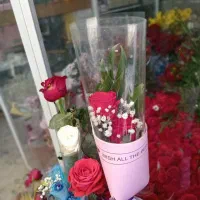 گل رز شاخه|گل و گیاه طبیعی|بیرجند, |دیوار