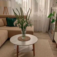 آپارتمان ۱۲۰ متری ۲ خوابه اوایل میرزاطاهر