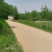 ۲۵۰ متر زمین باغی داخل طرح هادی، بر آسفالت|فروش زمین و ملک کلنگی|صومعه‌سرا, |دیوار