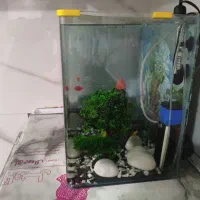 اکواریوم شیشه خم|ماهی|پاکدشت, شهرک امام رضا|دیوار