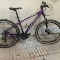 دوچرخه حرفه ای